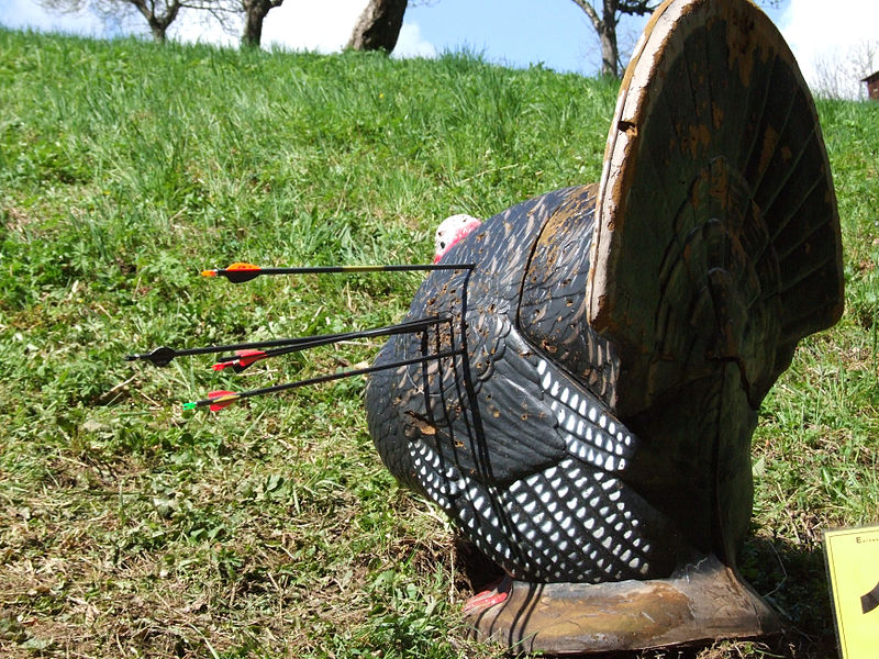 How Do 3D Archery Shoots Work? The Must Know Tips for ...