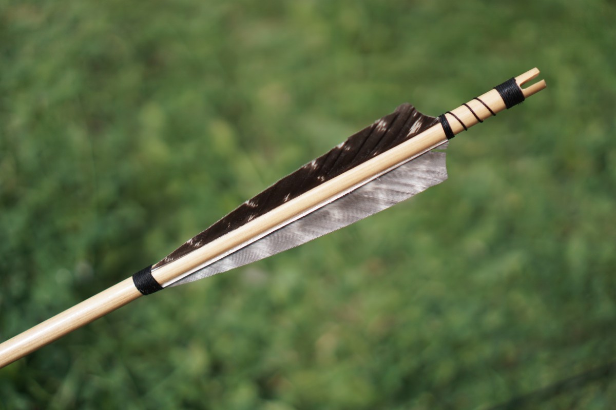 What Type of Arrows Should I Use? Recurve, Compound