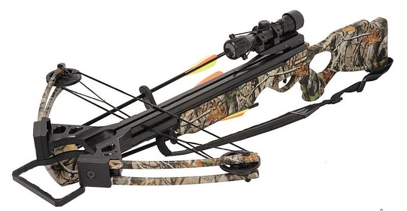 Should I Buy A Bow Or A Crossbow Archery Dude