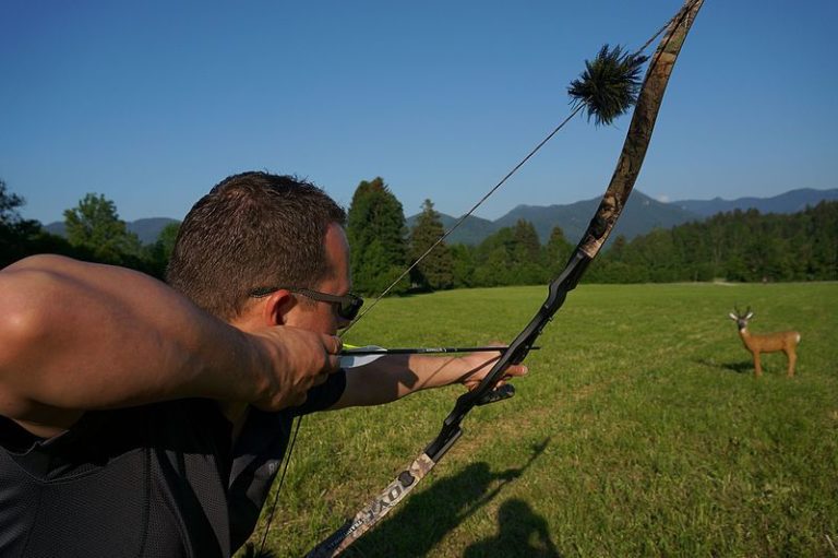 The Best Bows for 3D Archery Top Picks for All Archers Archery Dude